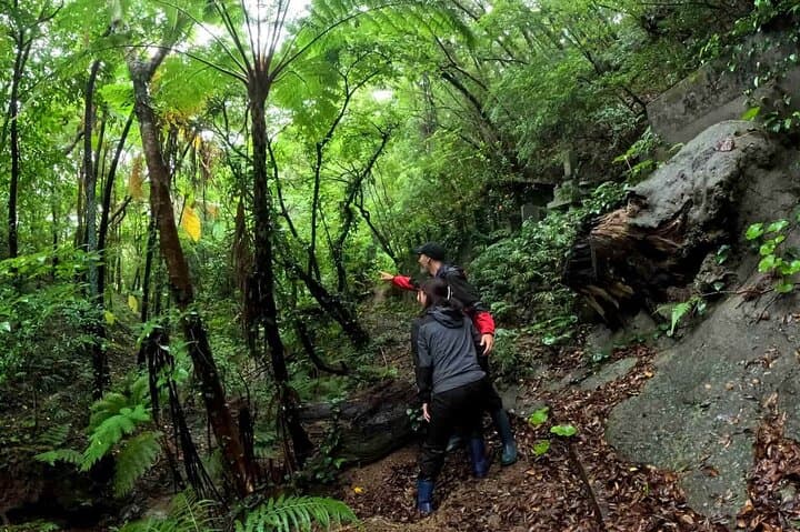 Private Half Day South Amami Jungle Adventure — photo 2