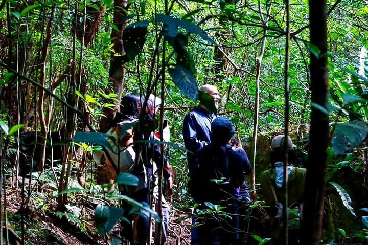 Private Half Day South Amami Jungle Adventure — photo 9