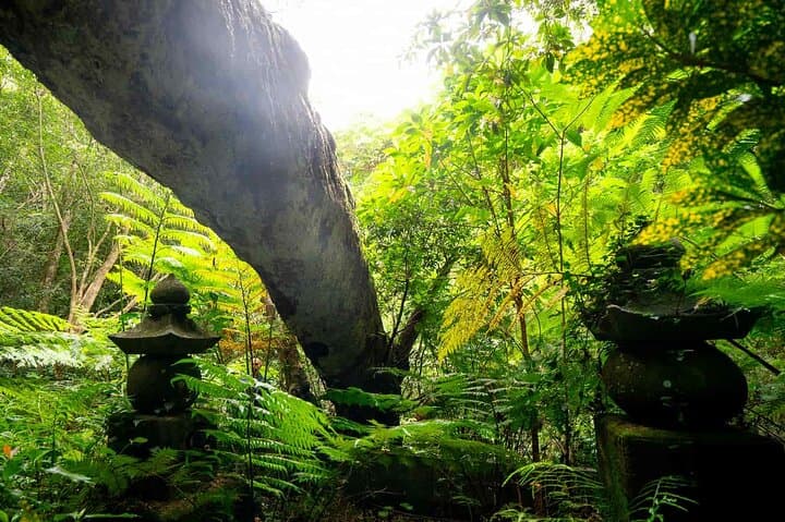 Private Half Day South Amami Jungle Adventure — photo 8