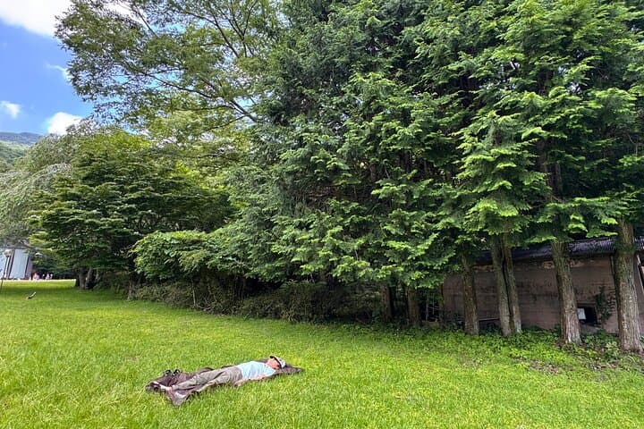 Shinrin Yoku / Forest Bathing at Hakone Lakeshore (Lake Ashi) — photo 13