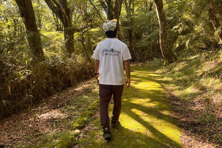 Shinrin Yoku / Forest Bathing at Hakone Lakeshore (Lake Ashi) — photo 4