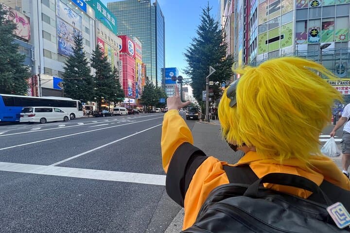 Explore Akihabara with Local Cosplayer Guide(s)! — photo 8