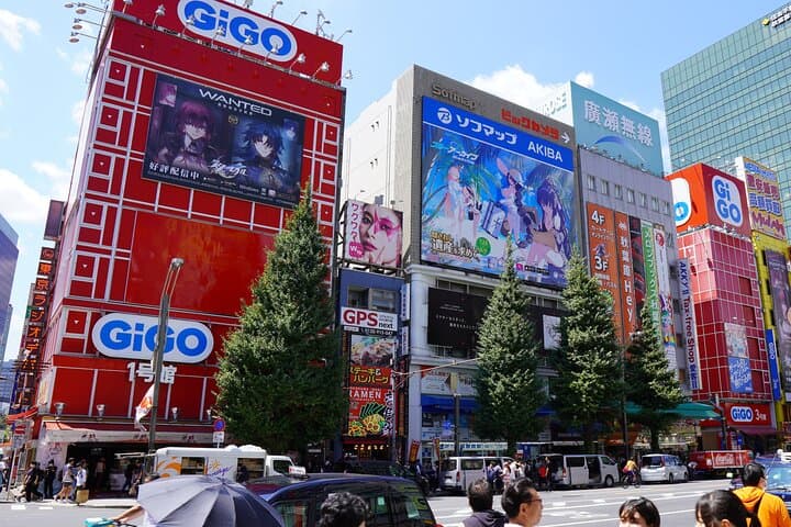 Explore Akihabara with Local Cosplayer Guide(s)! — photo 11