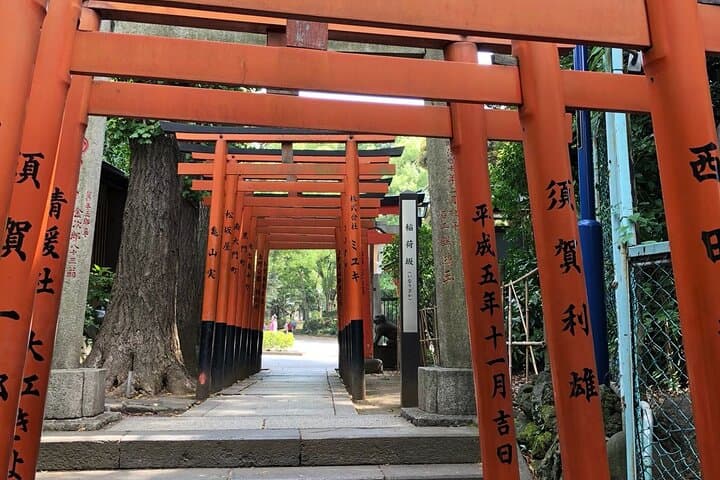 Private Tokyo Food Tour with 10+ Tastings of Japanese Classics — photo 10