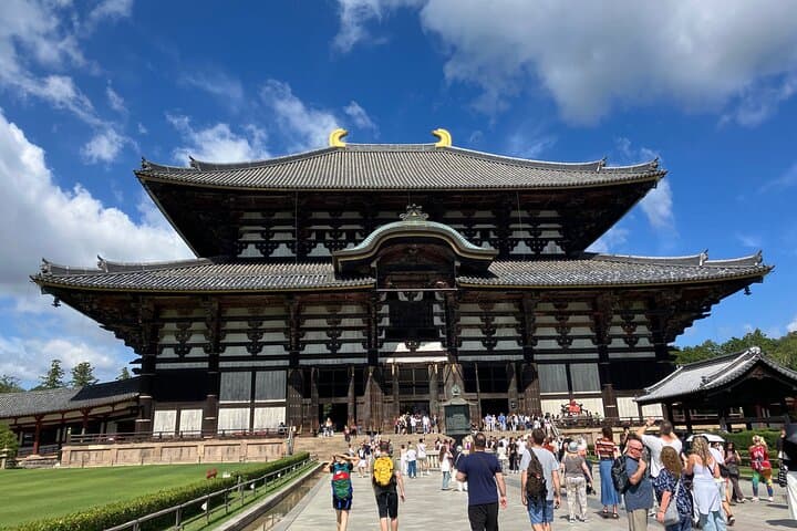 From Osaka: Private Nara Tour with Meet-Up at Your Hotel — photo 3