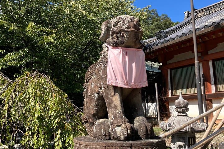 From Osaka: Private Nara Tour with Meet-Up at Your Hotel — photo 4