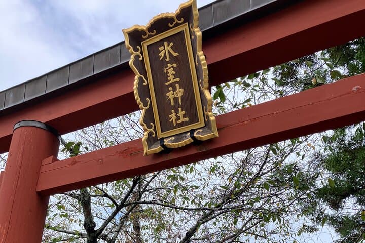 From Osaka: Private Nara Tour with Meet-Up at Your Hotel — photo 5