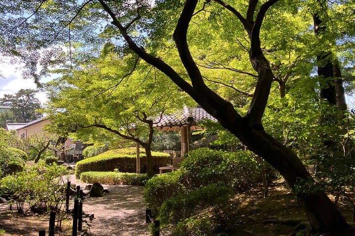 From Osaka: Private Nara Tour with Meet-Up at Your Hotel — photo 6