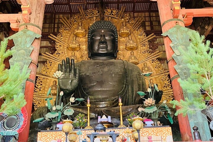 From Osaka: Private Nara Tour with Meet-Up at Your Hotel — photo 9