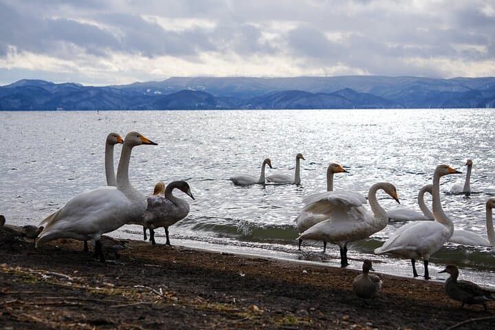 Ouchi juku and Tadami Rail with Lake Inawashiro Fukusima Tour — photo 4