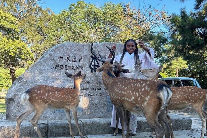 Kyoto and Nara Private Car Tour with a Local English Guide Driver — photo 13