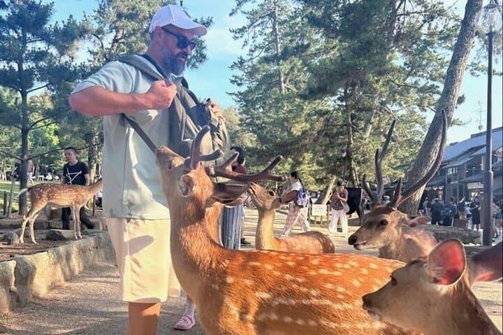 Kyoto and Nara Private Car Tour with a Local English Guide Driver — photo 3