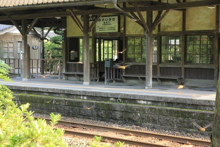 Kirishima Full-Day Private Tour from Kagoshima — photo 5