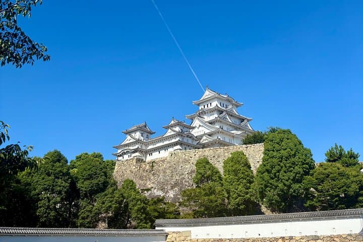 Himeji Castle tour with a Local University Student Guide — photo 5