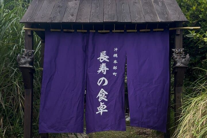 Near Churaumi Aquarium | Longevity Secrets × Food & Culture — photo 3