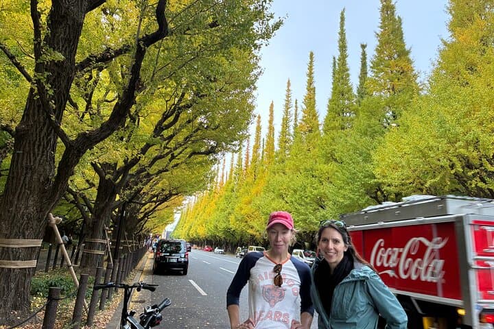 Tokyo: Private 2-Hour E-Bike Ride, City or Imperial Palace — photo 18
