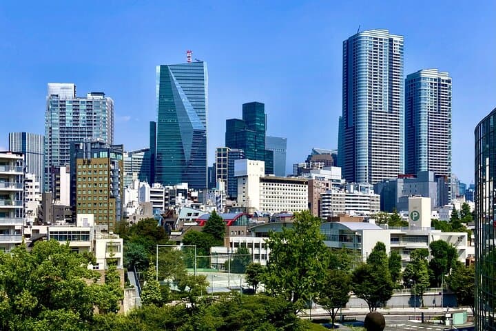 Tokyo Customizable Private One Day Walking Tour Hotel Pickup — photo 1
