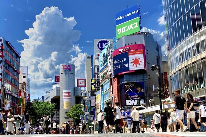 Tokyo Customizable Private One Day Walking Tour Hotel Pickup — photo 2