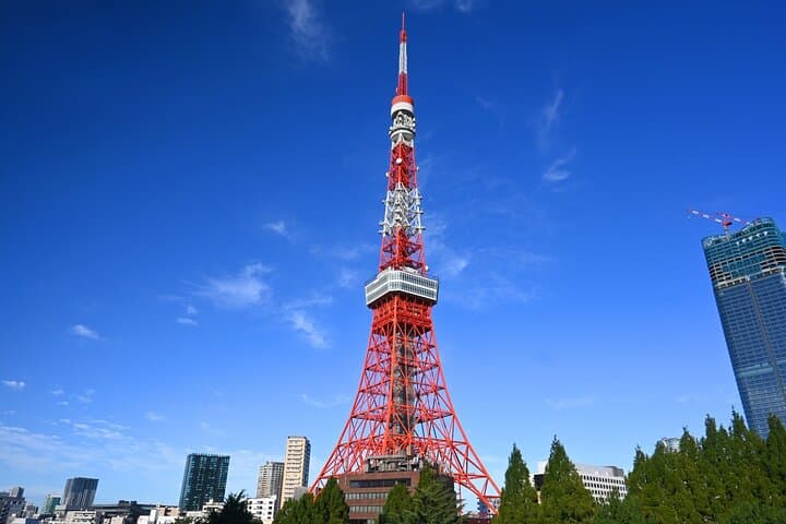 Tokyo Customizable Private One Day Walking Tour Hotel Pickup — photo 9