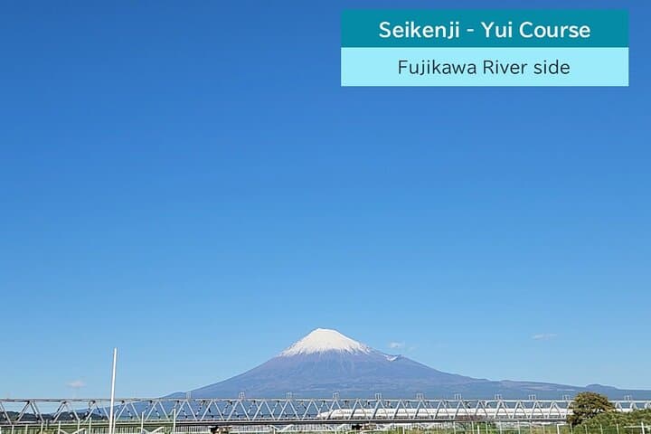 All-about Mt.Fuji Short Tour from Shimizu Port — photo 11