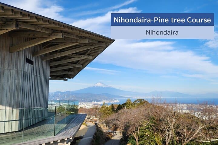 All-about Mt.Fuji Short Tour from Shimizu Port — photo 15