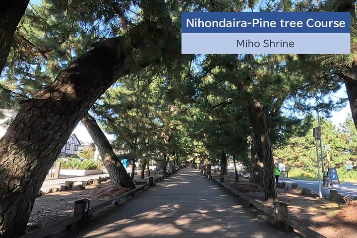 All-about Mt.Fuji Short Tour from Shimizu Port — photo 17