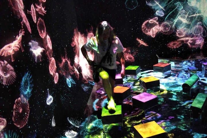 Tokyo: teamLab Planets & Toyosu Fish Market Guided Tour — photo 19