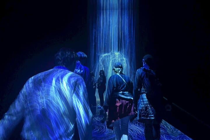Tokyo: teamLab Planets & Toyosu Fish Market Guided Tour — photo 6