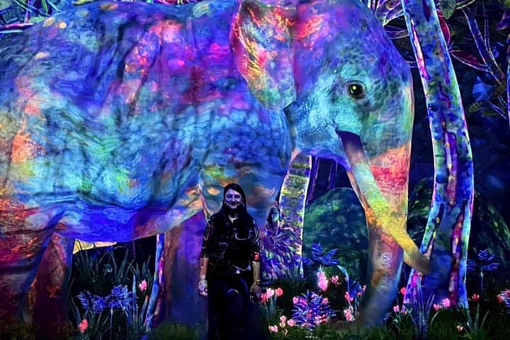 Tokyo: teamLab Planets & Toyosu Fish Market Guided Tour — photo 1