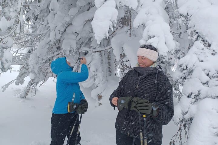 Snowshoe Hike Tour from Sapporo include hotel p/up & drop off — photo 11