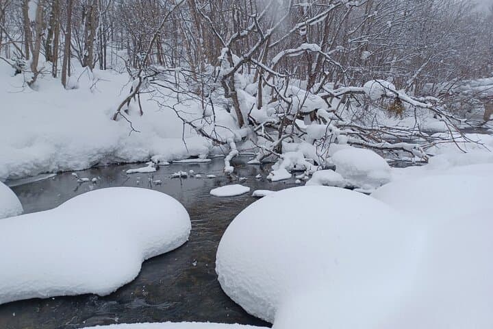 Snowshoe Hike Tour from Sapporo include hotel p/up & drop off — photo 13