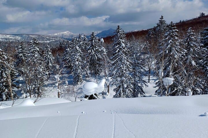 Snowshoe Hike Tour from Sapporo include hotel p/up & drop off — photo 14
