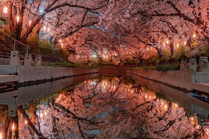 Explore Fuji Exclusively in 10 hours — photo 7