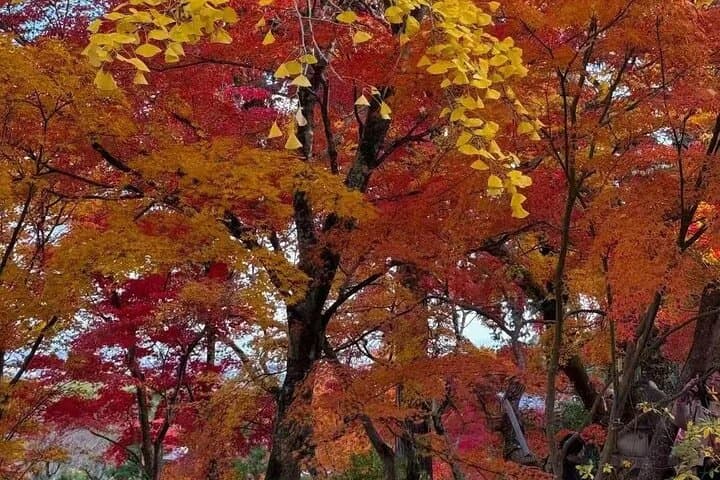 Explore Fuji Exclusively in 10 hours — photo 8
