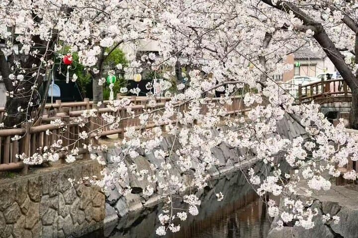 Explore Fuji Exclusively in 10 hours — photo 9