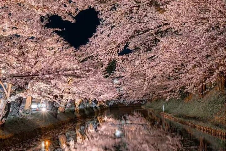 Explore Fuji Exclusively in 10 hours — photo 11