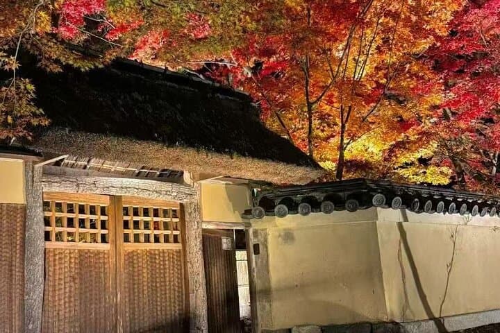 Explore Fuji Exclusively in 10 hours — photo 14