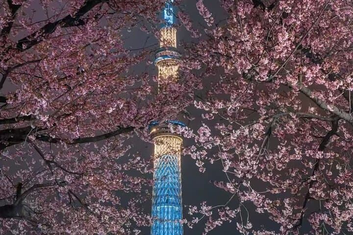 Explore Fuji Exclusively in 10 hours — photo 16