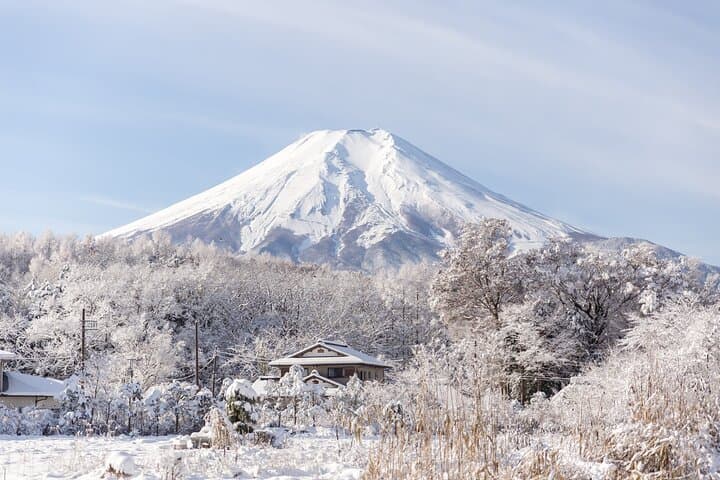 Mt. Fuji Scenic Tour: Lakes, Oshino Hakkai & Chureito PagodaTour — photo 6