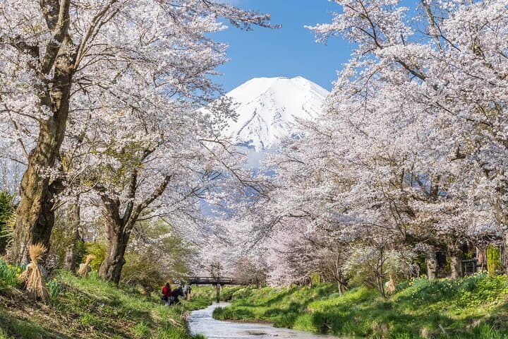 Mt. Fuji Scenic Tour: Lakes, Oshino Hakkai & Chureito PagodaTour — photo 8