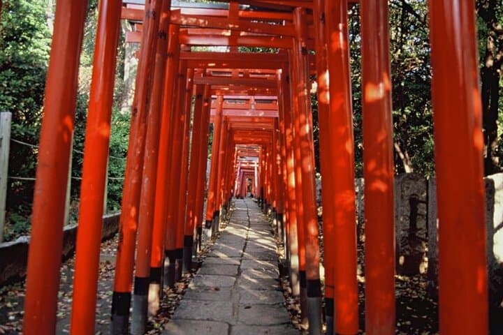 Tokyo: Private Yanaka District Walking & Food Tour — photo 4