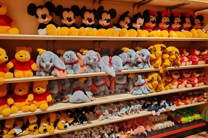 Tokyo Disneyland Ticket & Optional Tokyo Subway Pass — photo 8