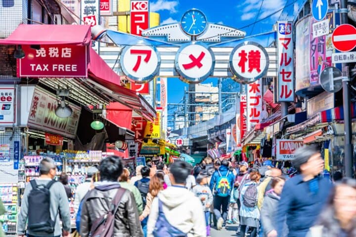 Tokyo: Private Ueno Highlights & Local Gem Walking Tour — photo 1