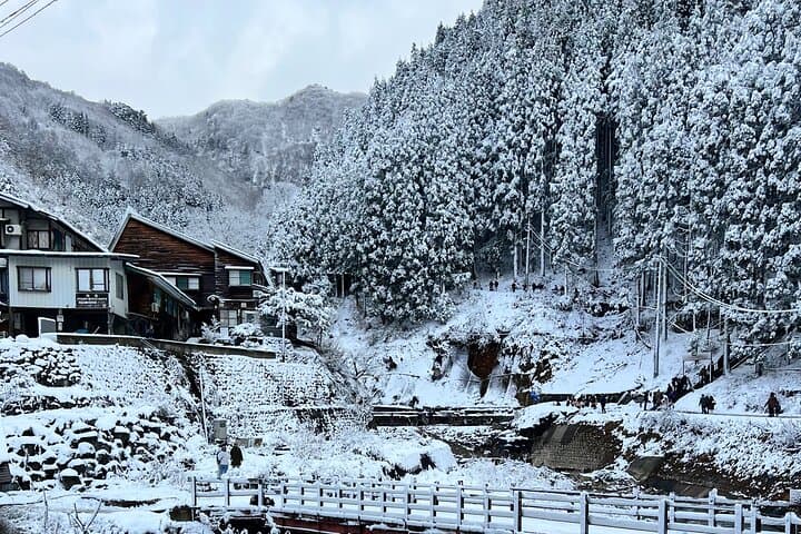 Nagano Snow Monkey Private Full-Day Tour — photo 2