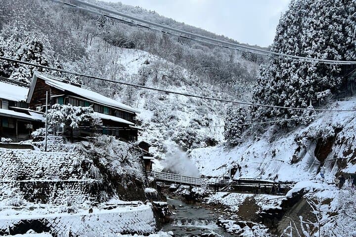 Nagano Snow Monkey Private Full-Day Tour — photo 4