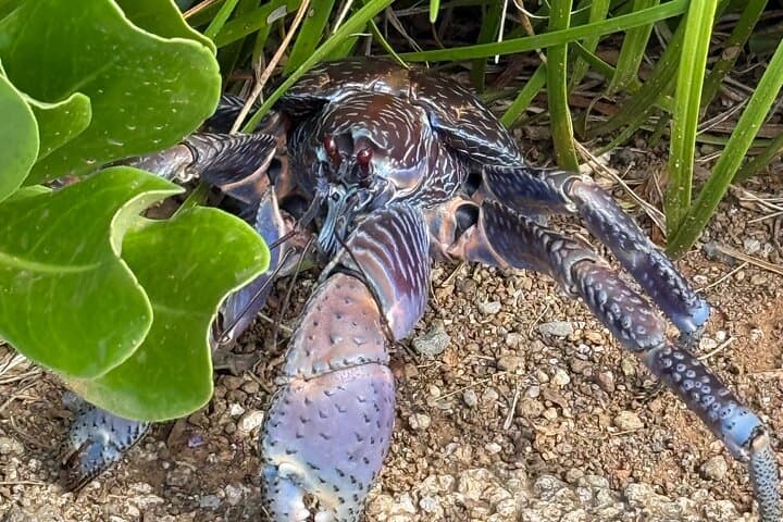 Spirit of Ishigaki: explore the land and lore — photo 18