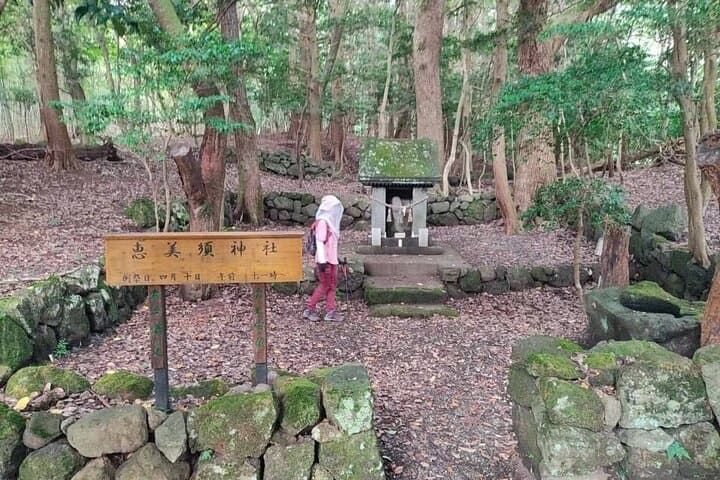 Kannawa Jigoku District Park Nordic Walking Tour — photo 5