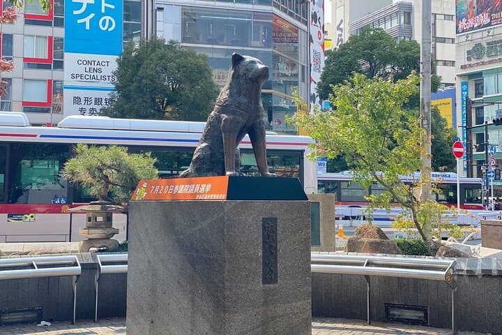 Tokyo Highlights Private Tour by Car: Asakusa, Shibuya, Shinjuku — photo 10