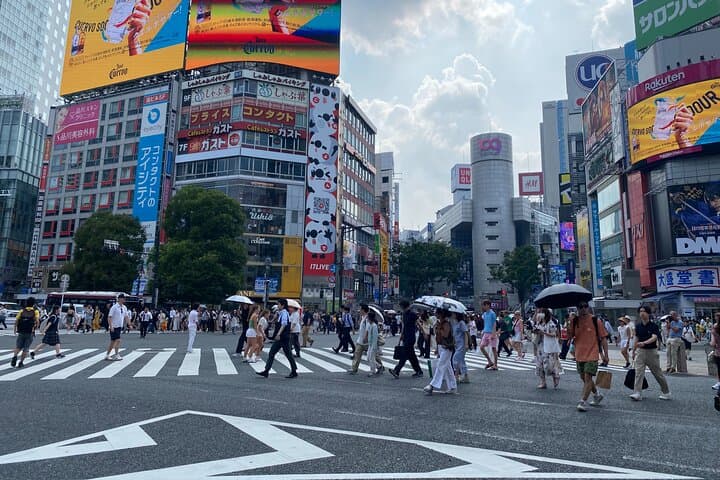 Tokyo Highlights Private Tour by Car: Asakusa, Shibuya, Shinjuku — photo 11