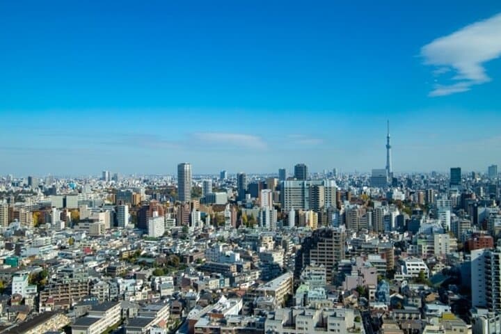 Tokyo Highlights Private Tour by Car: Asakusa, Shibuya, Shinjuku — photo 13
